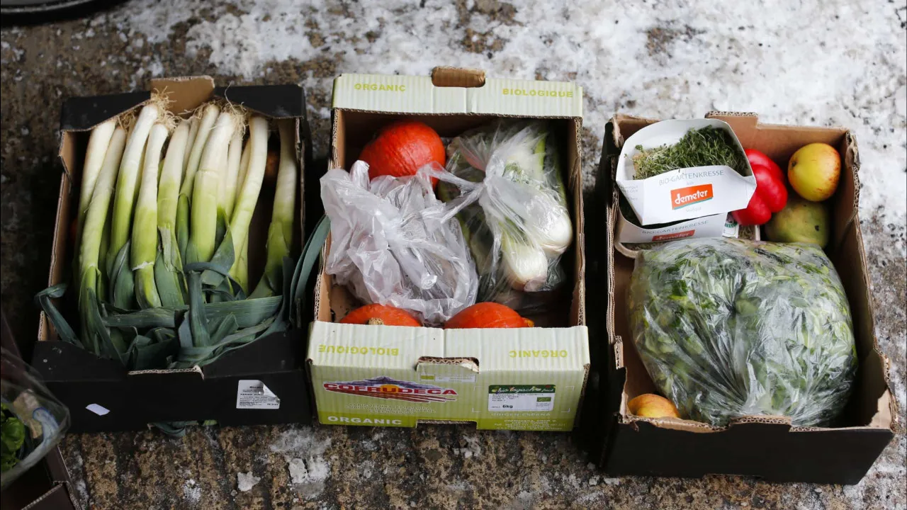 Abastecimento alimentar pode passar a ser abrangido por