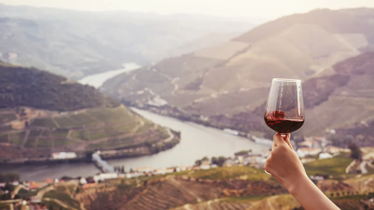 CNA exige medidas após anúncio de corte na produção de vinho