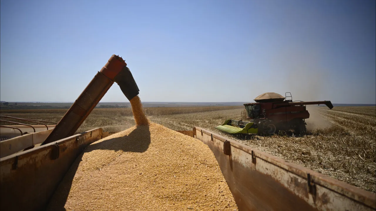 Dependência externa de Portugal sobe em 2024 nos cereais,