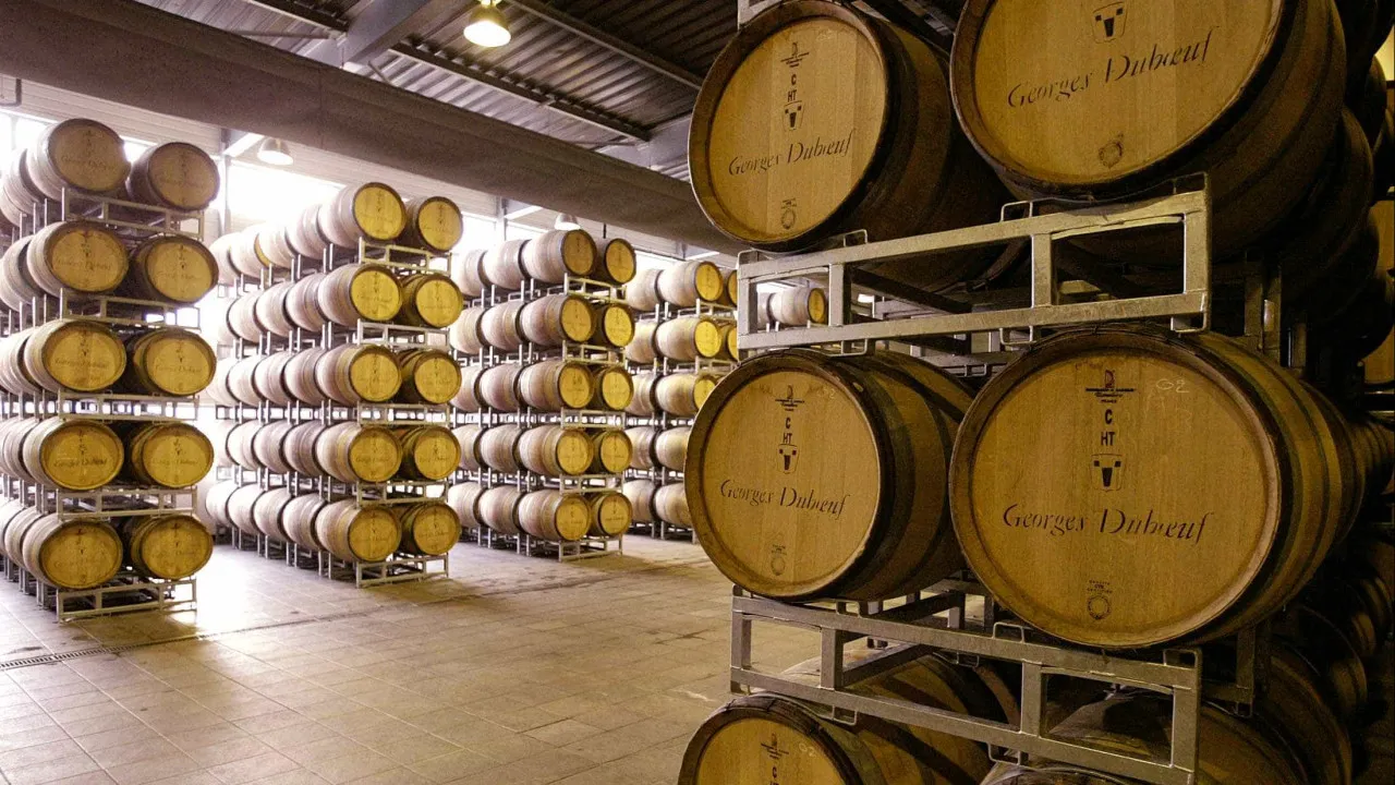Douro reduz produção de vinho do Porto para as 75 mil pipas