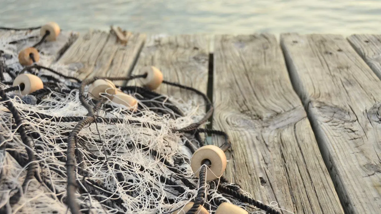 Governo reforça fiscalização ao período de paragem da pesca