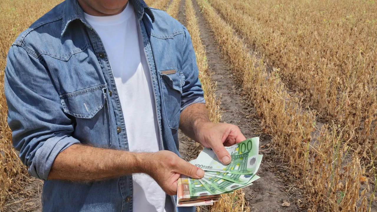 Há um apoio (de até 800€ por hectare) para ajudar na limpeza