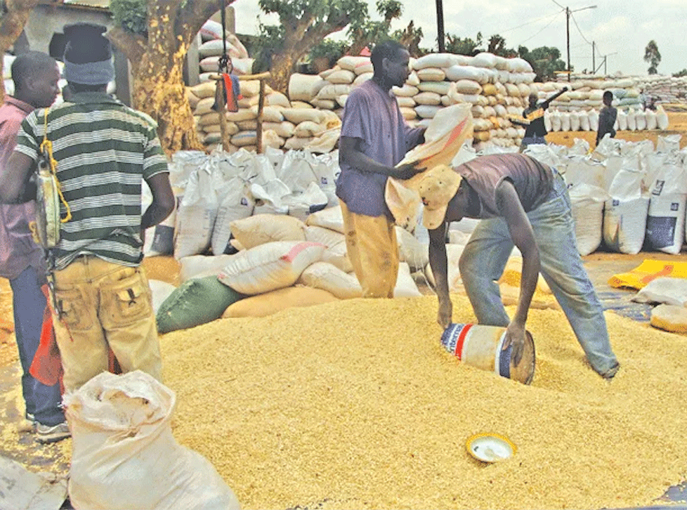 Moçambique prevê colocar no mercado mais de 20 milhões de