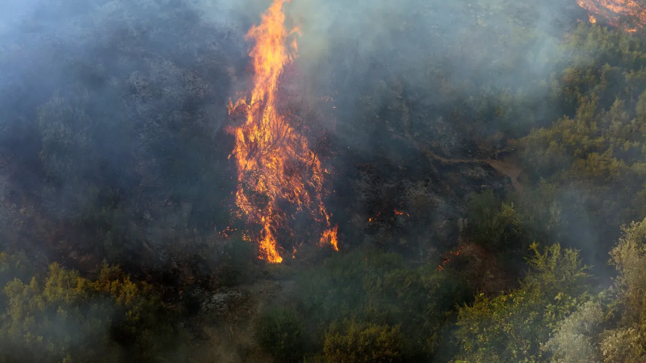 Apoios após incêndios? "Vamos ser muito rápidos" (eis o que