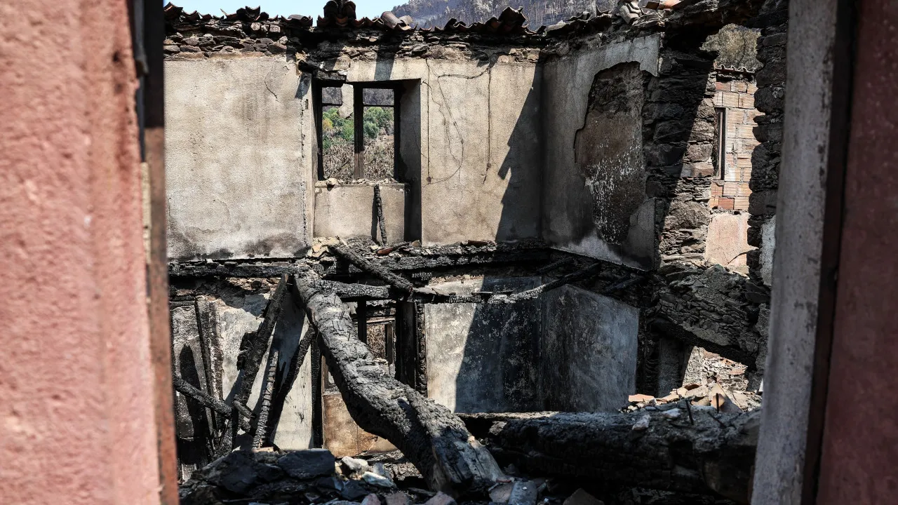 Apoios para afetados por incêndios entram em vigor. O que