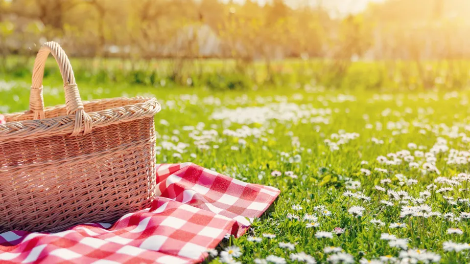 Cabaz de verão: À dúzia é mais barato, mas não passados três