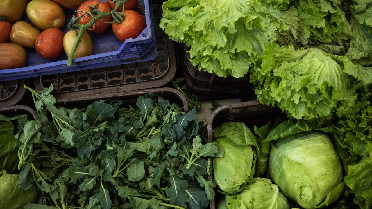 Exportações de frutas, legumes e flores sobem 9,2%: Para
