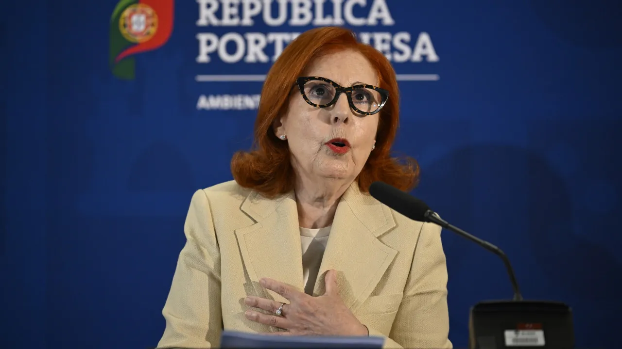 "Famílias podem trocar fogões, fornos e esquentadores"