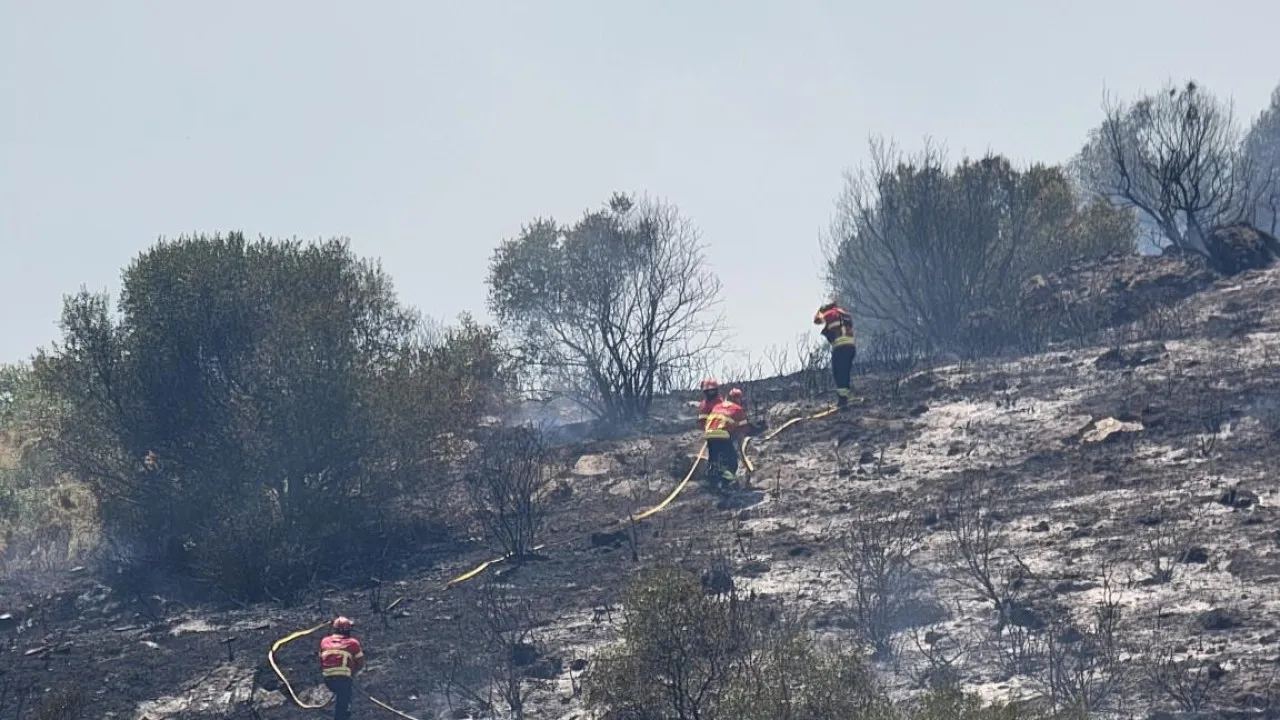Fogos? Associação Empresarial da Serra da Lousã exige