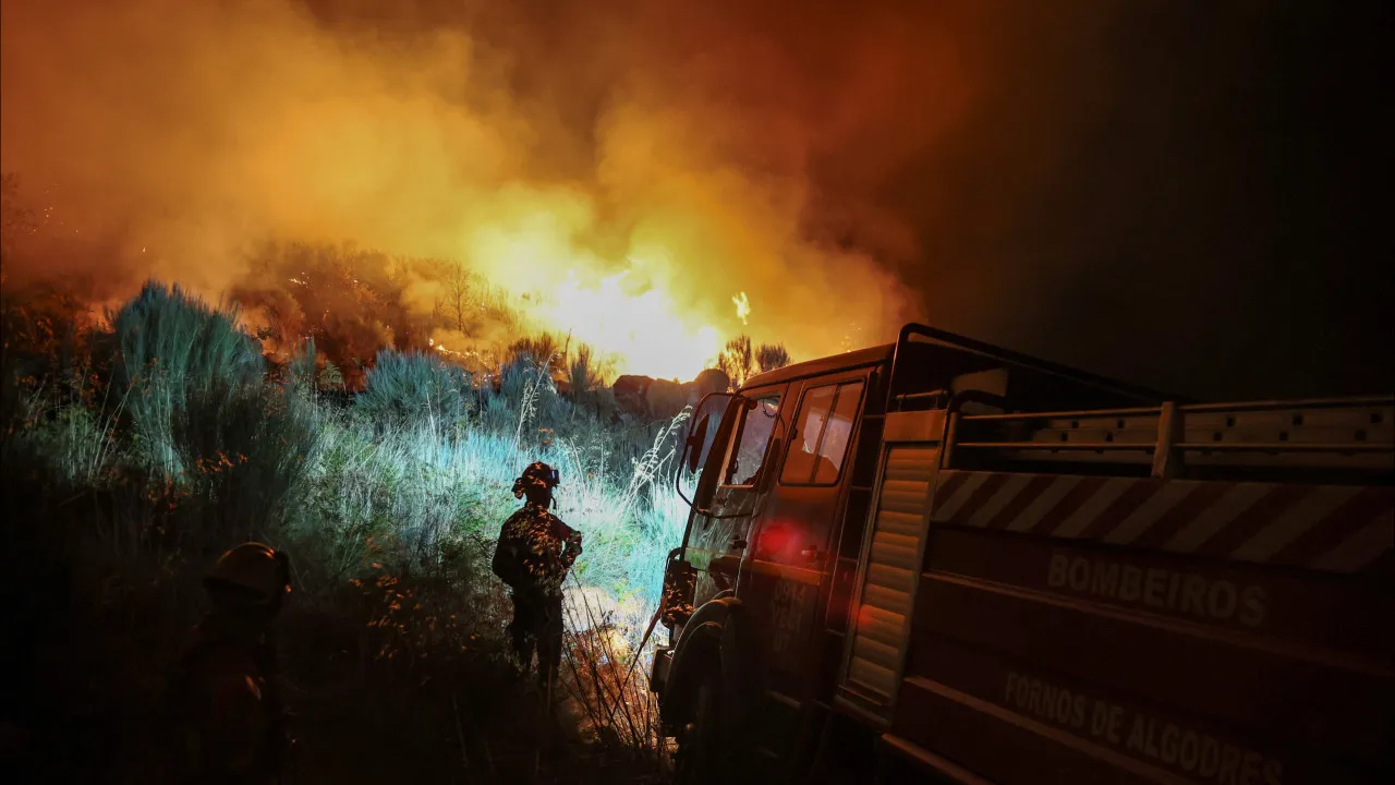 Incêndios? Associação Empresarial de Coimbra quer auditoria
