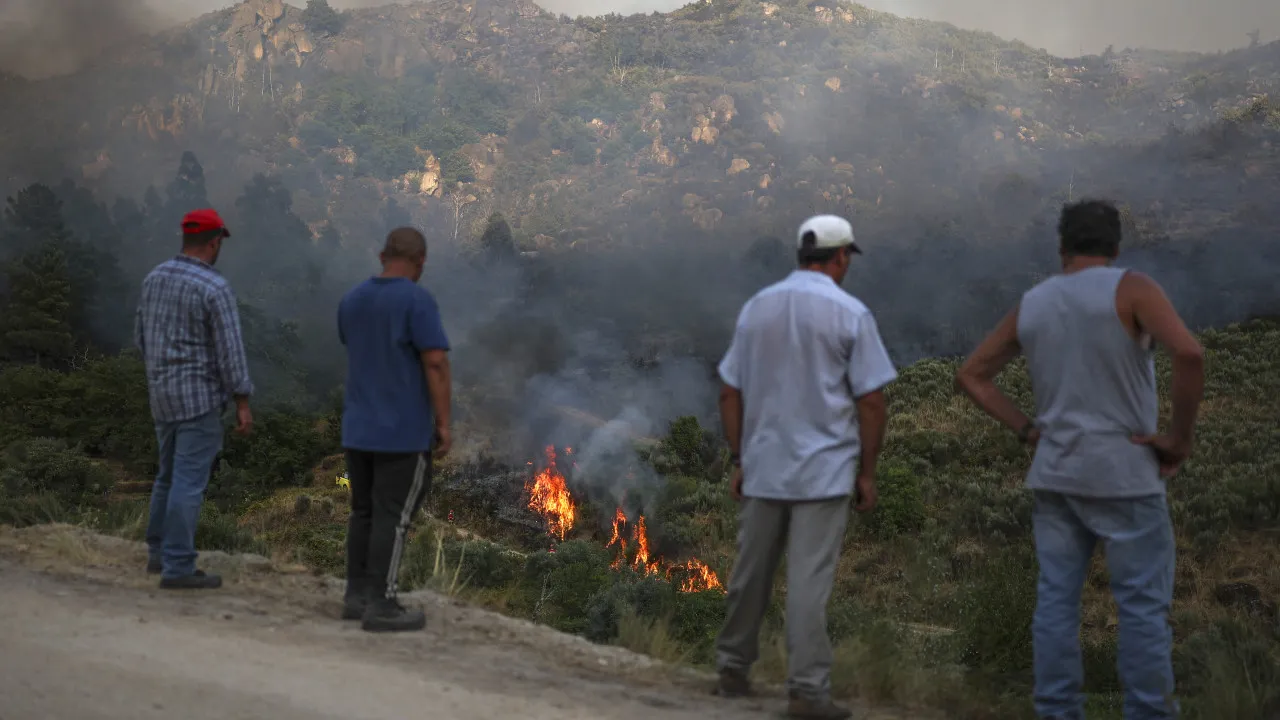 Incêndios consomem da agricultura à saúde. Fatura já vai em