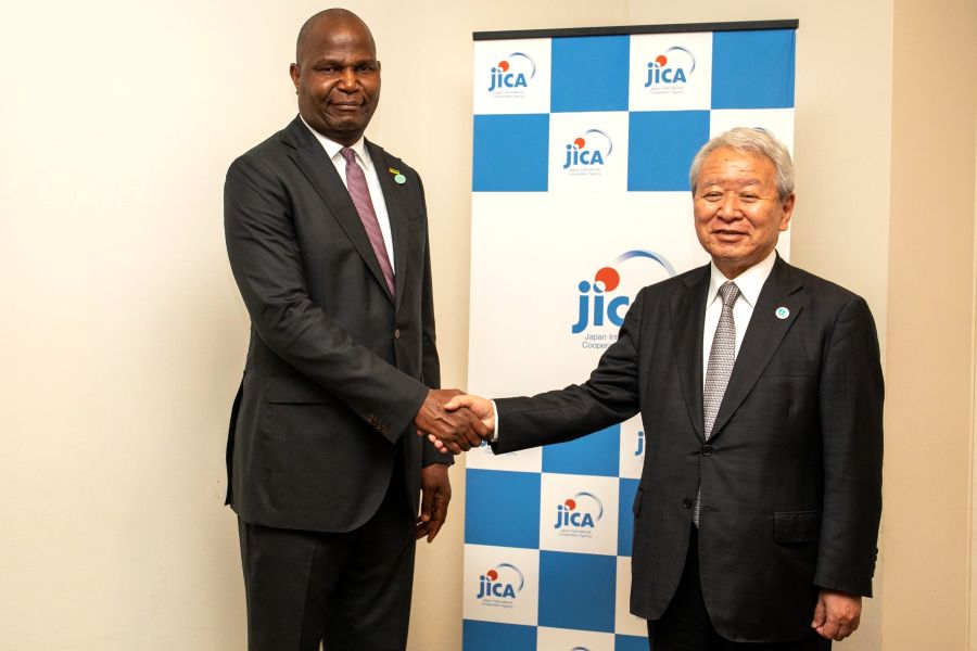 Moçambique é estratégico para segurança energética do Japão