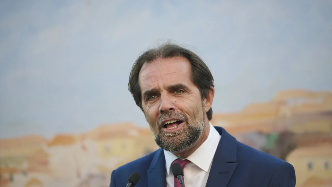 "Não é difícil". Madeira quer criar mercado próprio de