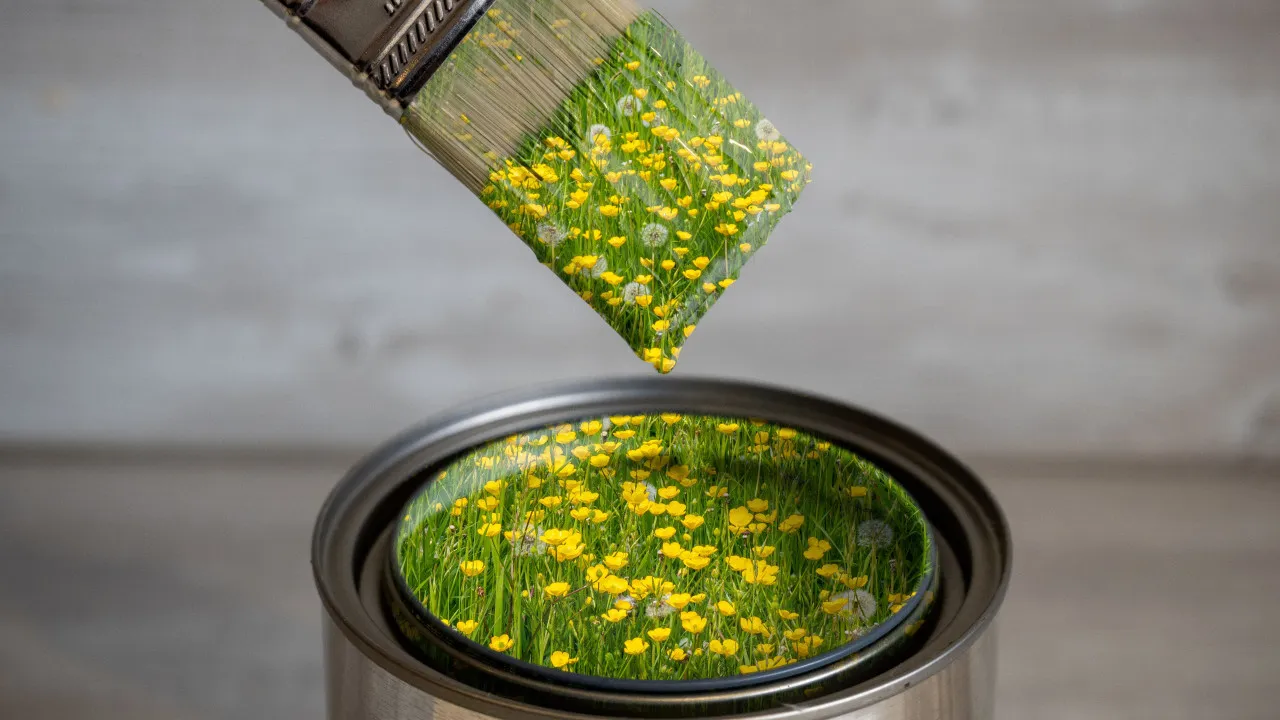 Portugueses abandonam marcas que fingem ser sustentáveis