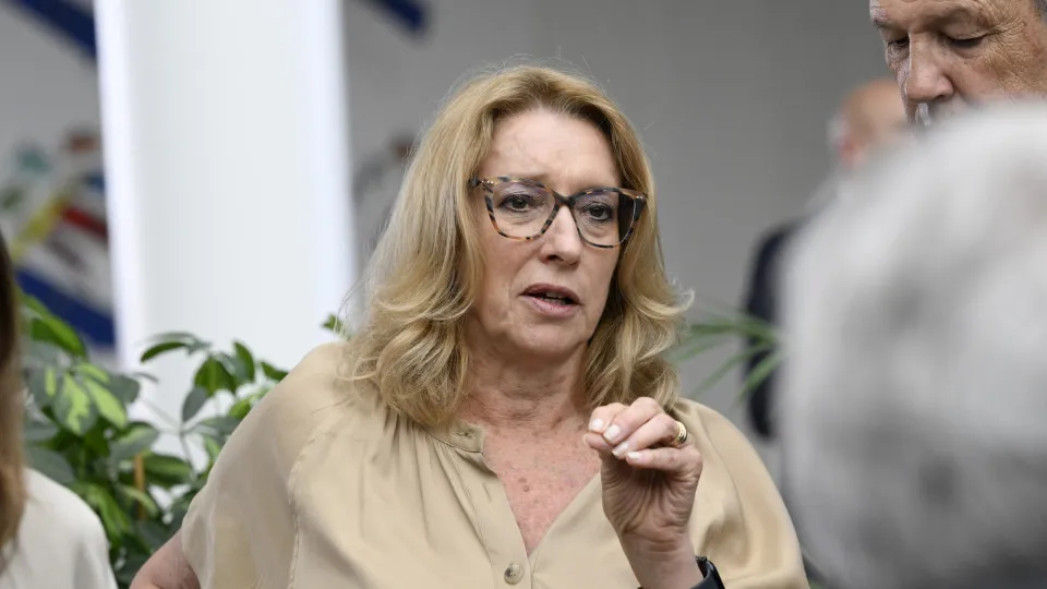 Governo garante não haver "nada relativo à privatização das