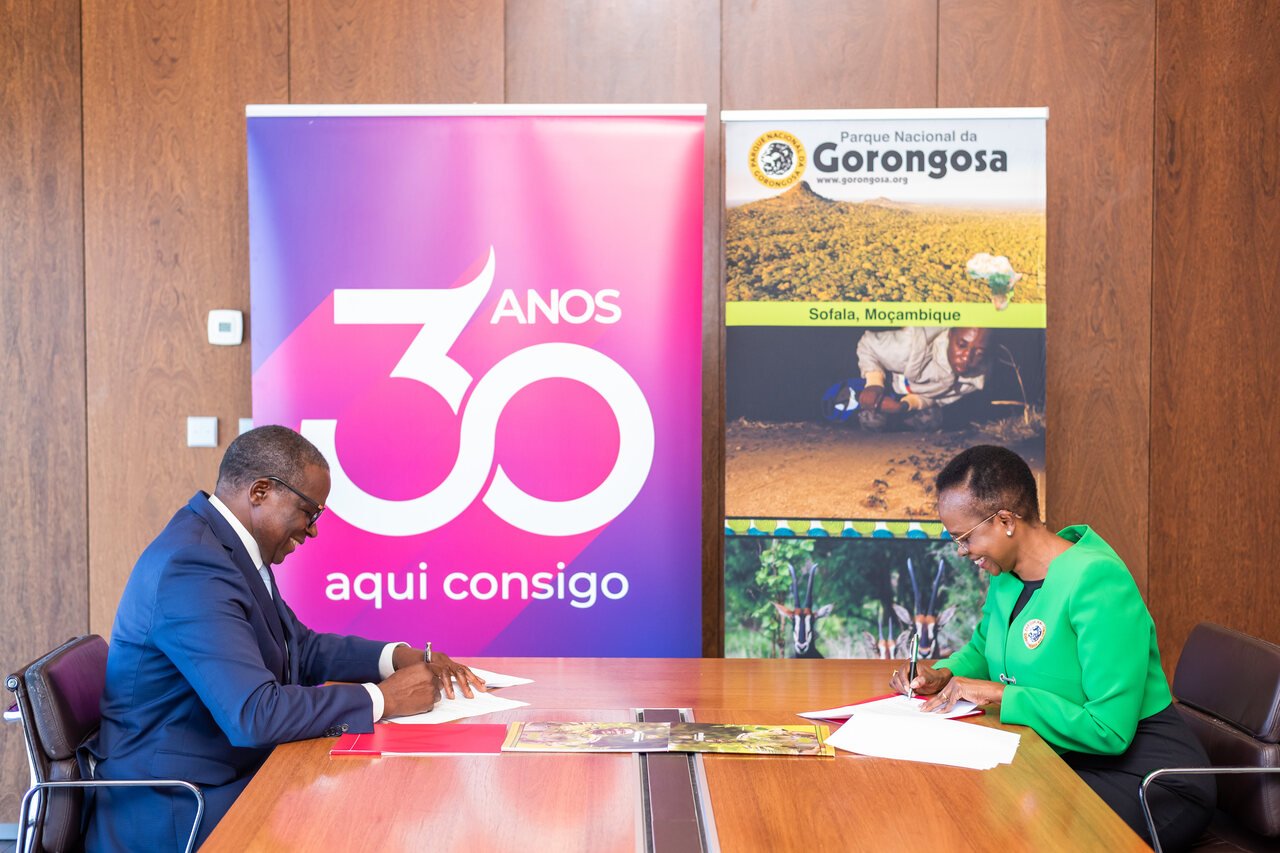 Millennium Bim Renova Parceria Com Parque Nacional da