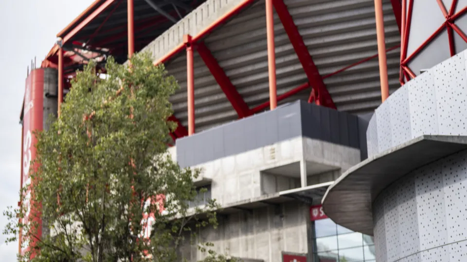 Ações da SAD do Benfica abrem em terreno positivo após