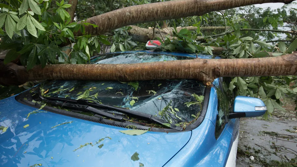 Cheias ou queda de árvores: Seguro do carro cobre prejuízos?