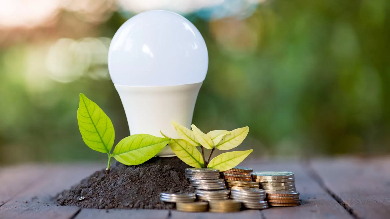 EXPLICADOR: Consumo Sustentável - Adopte Estes Seis Hábitos