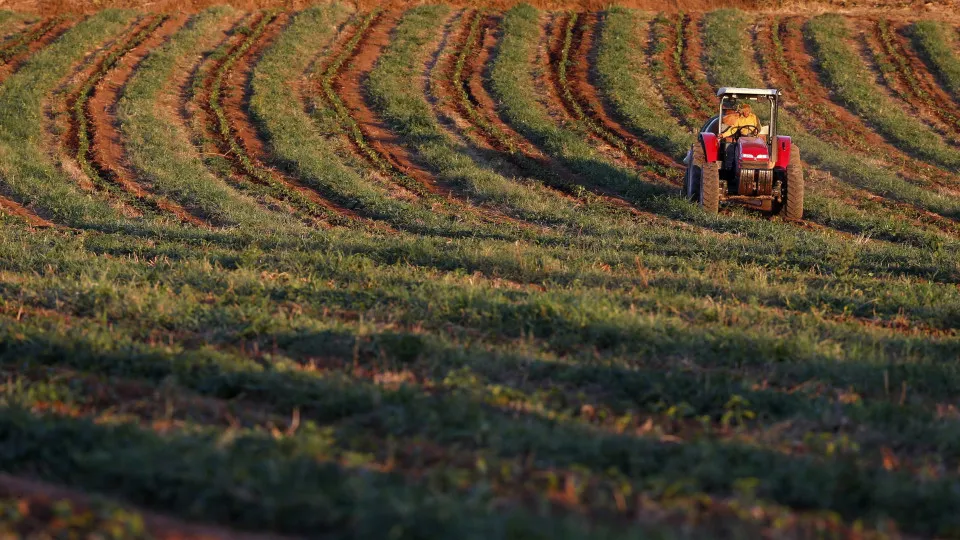 Eurodeputados portugueses integram missão de Agricultura do