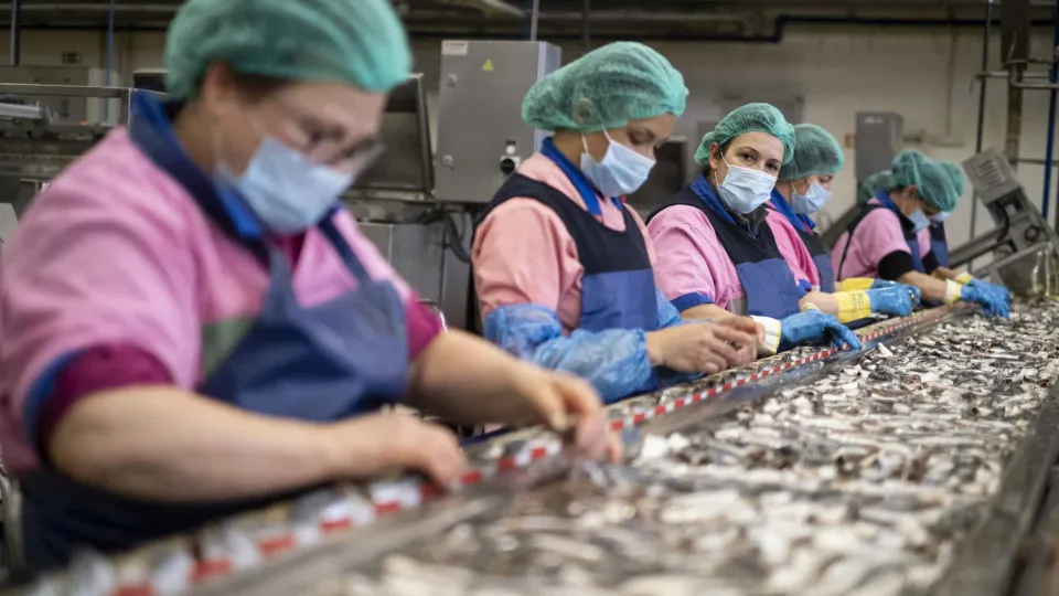 Exportações da indústria conserveira sobem 12% para 199