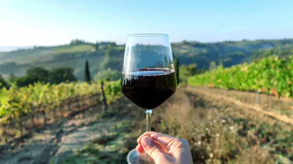 "Há 20 anos ninguém imaginaria". Vinho algarvio supera