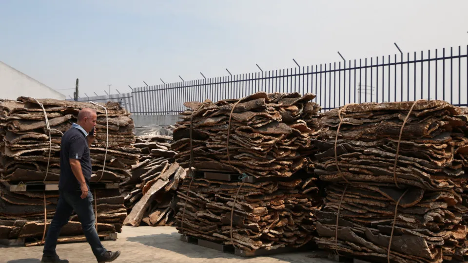 Lucros da Corticeira Amorim caíram 4,5% para 45,7 milhões
