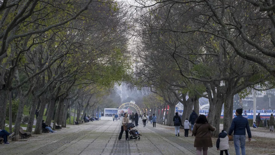 Mau tempo: Sete mil clientes da E-Redes ainda sem