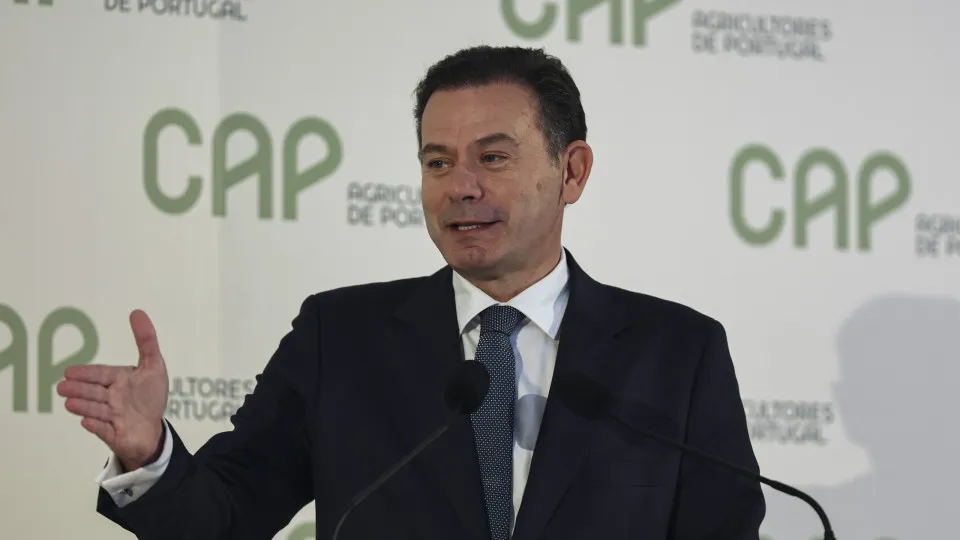 Primeiro-ministro defende "equilíbrio" entre ambiente e