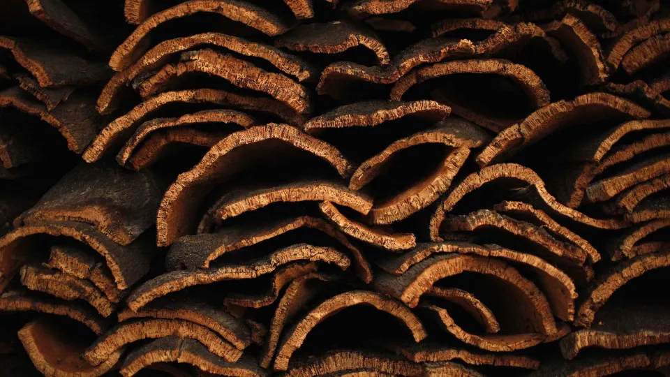 Produção de cortiça em Portugal e Espanha deverá cair 15%