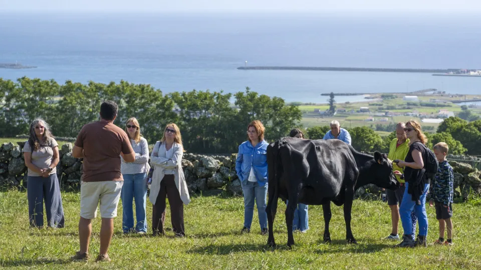 Confederação de turismo diz que setor está a entrar em