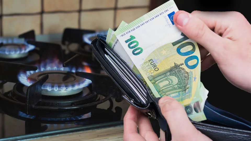 E-Lar: Fornecedores já podem dizer que querem continuar no