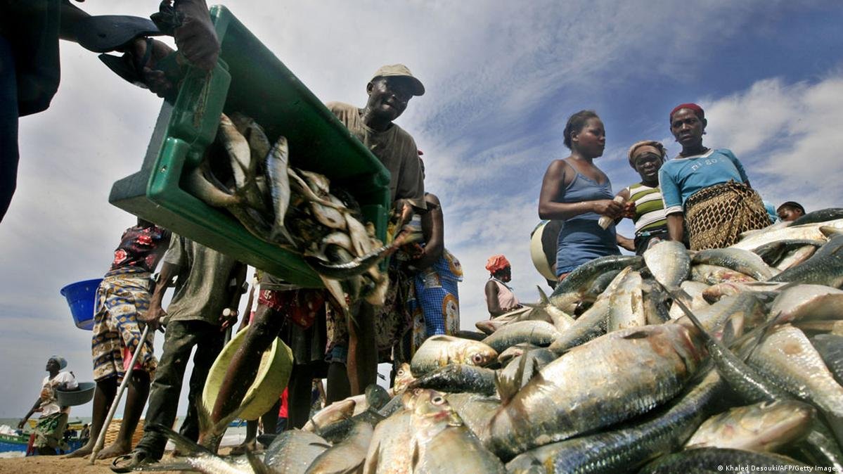 Estado perde anualmente 70 milhões dólares devido à pesca