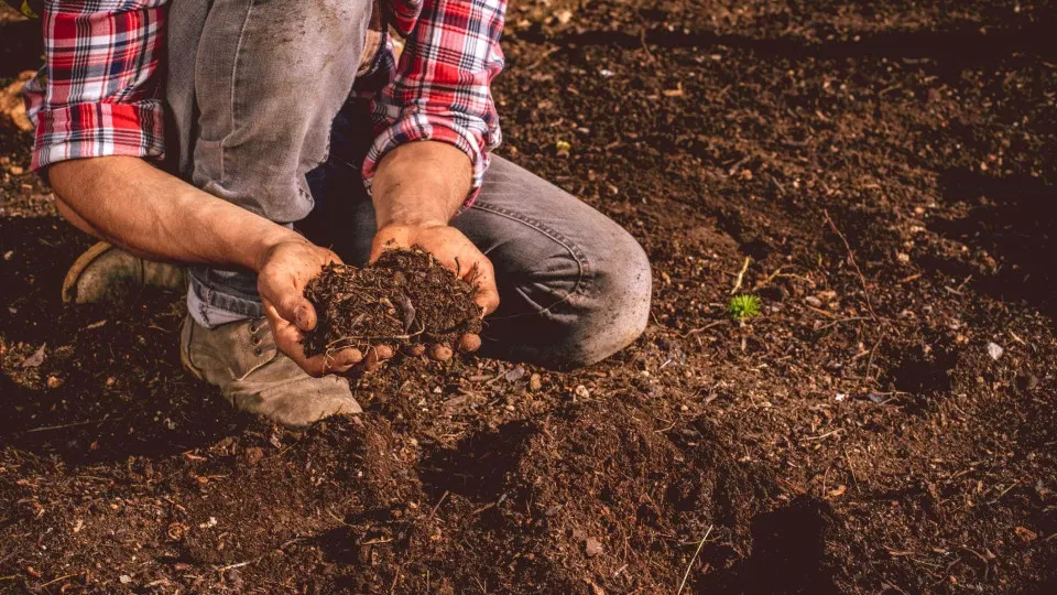 Agricultores reclamam "rápido levantamento dos prejuízos"