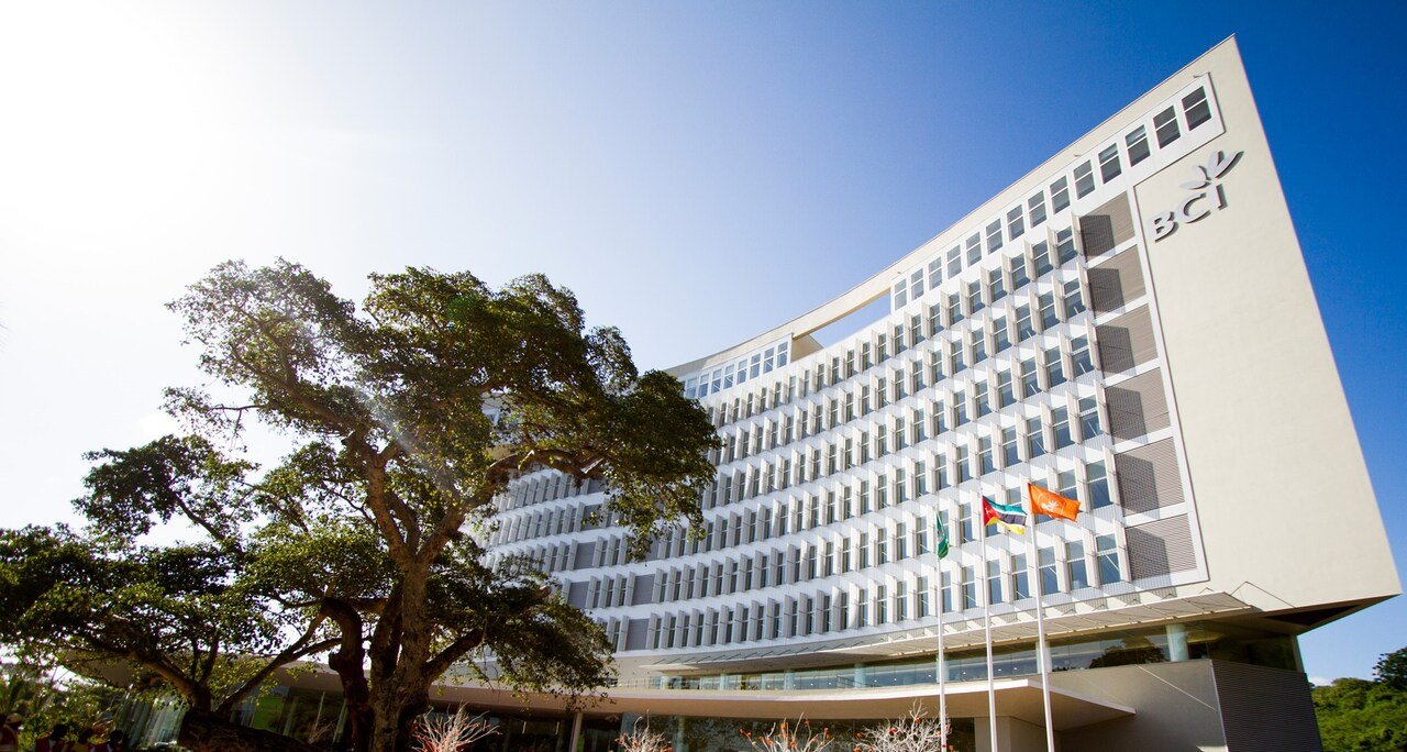 Colaboradores do BCI Lançam Campanha Para Apoiar as Famílias