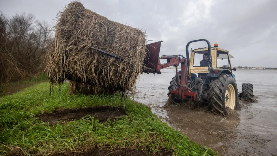 Ministério da Agricultura lança plataforma para sinalizar