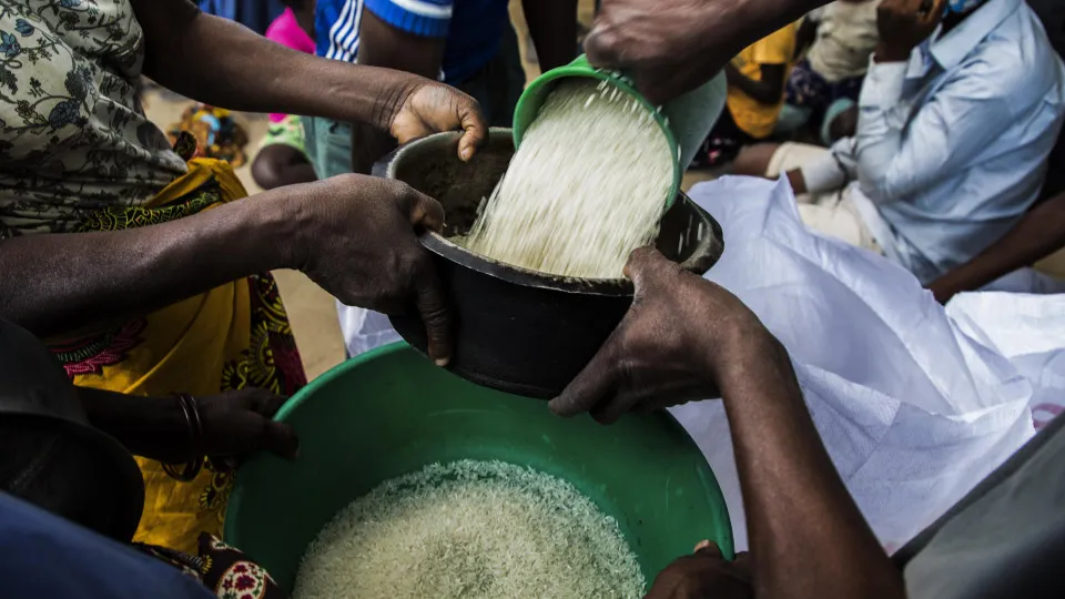 Moçambique. ICM passa a conduzir importações de cereais