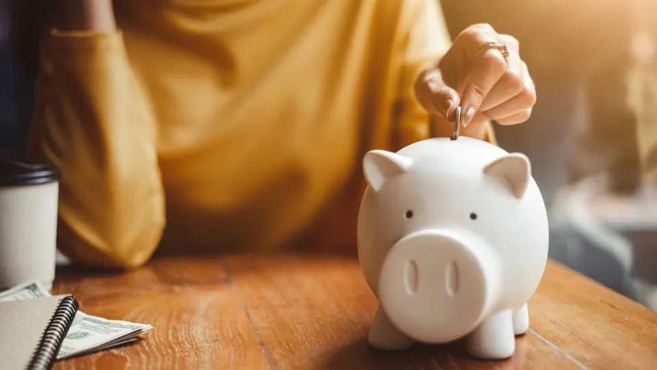 Taxa de poupança das famílias na zona euro abranda no 3.º