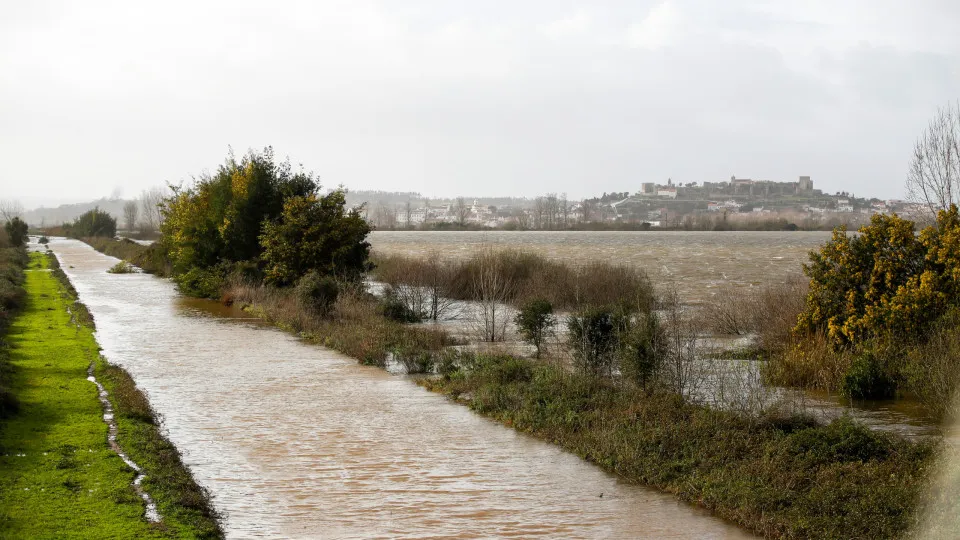 Agricultores de Coimbra exigem reparação do canal de rega do