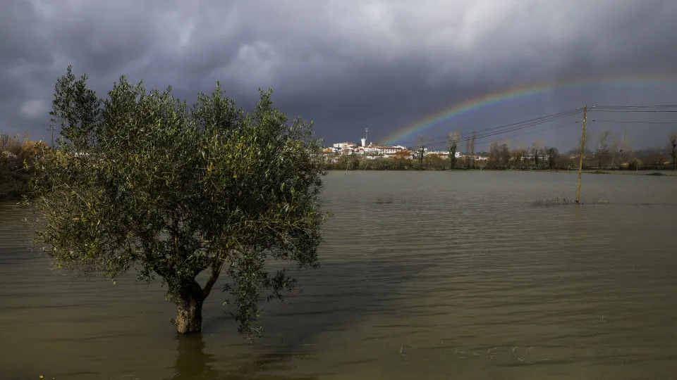 Agricultura: Lisboa e Vale do Tejo com 107,9 milhões de
