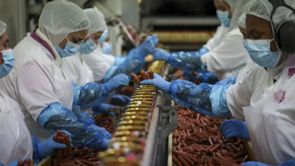 Após insolvência, Sicasal retoma produção com parte dos