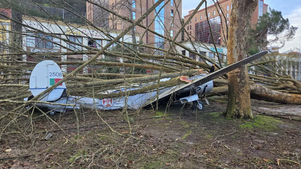 Cálculo das perdas para apoios às empresas ainda está por