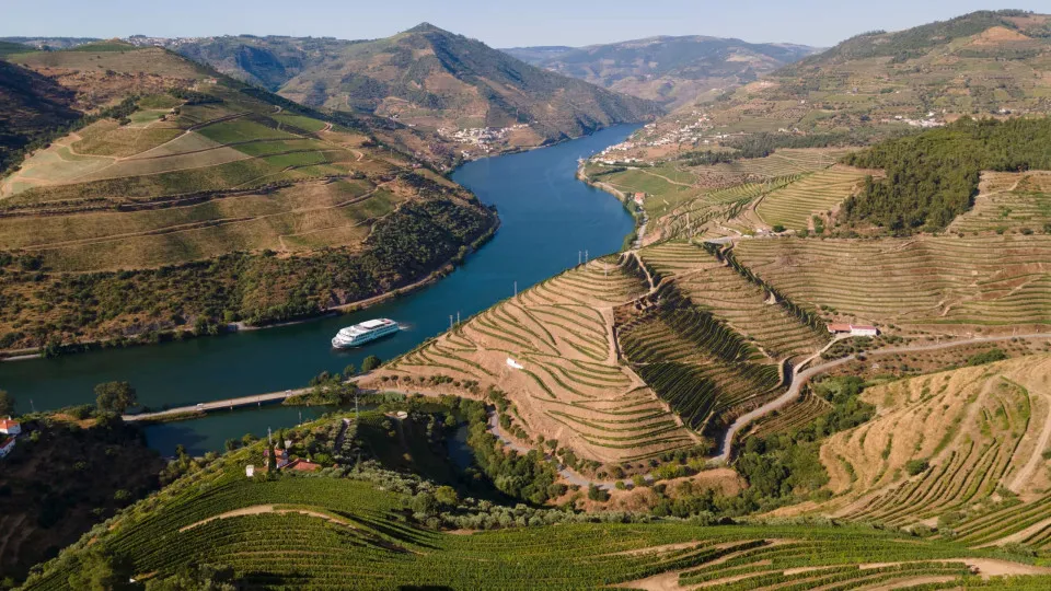 Casa do Douro pede apoios urgentes para todos os