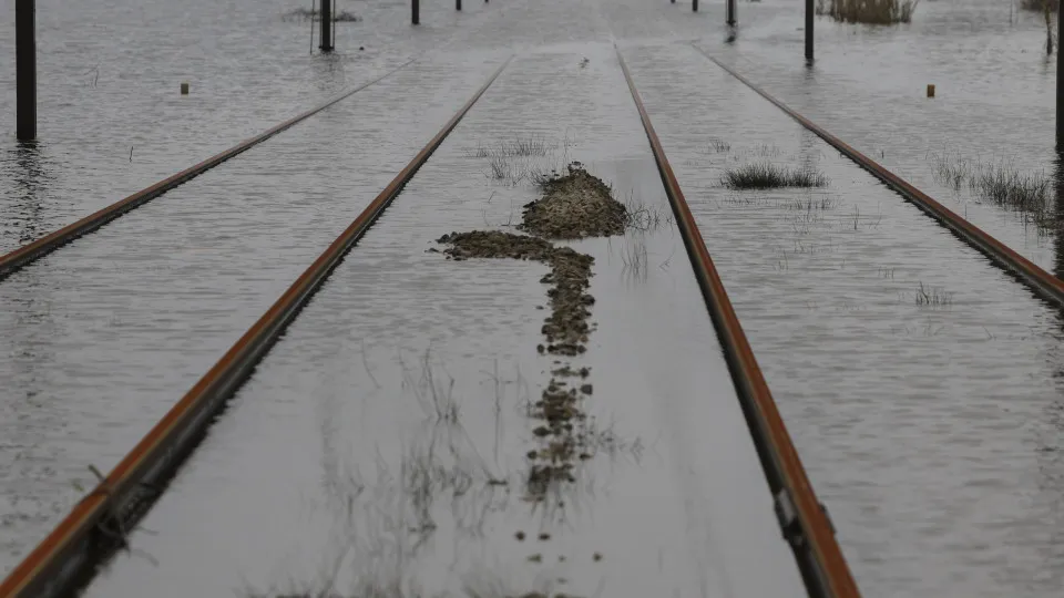 Circulação na Linha do Alentejo já foi retomada entre Pegões
