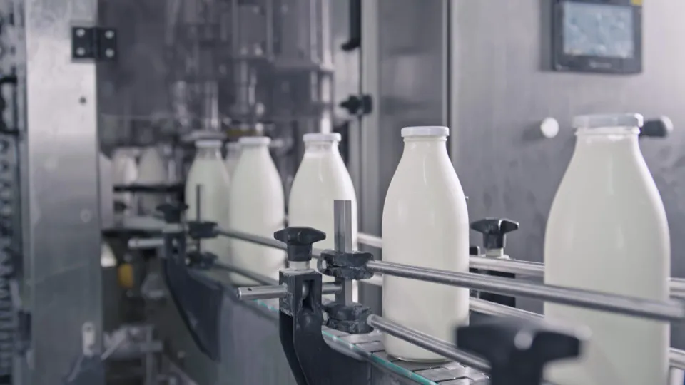 Mau tempo. Produtores de leite reforçam apelo ao Governo