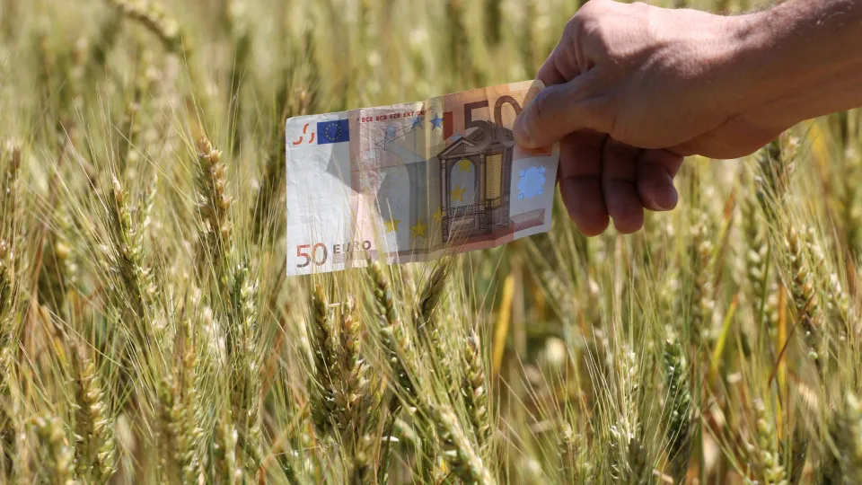 "Milhares de euros em perdas". Pede-se verba do PTRR para
