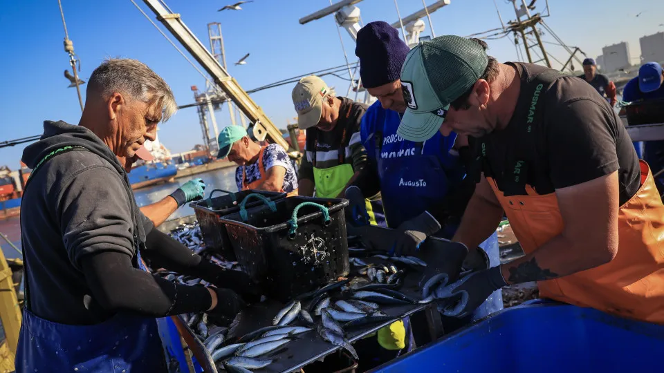 Pescadores podem recorrer ao fundo de compensação após