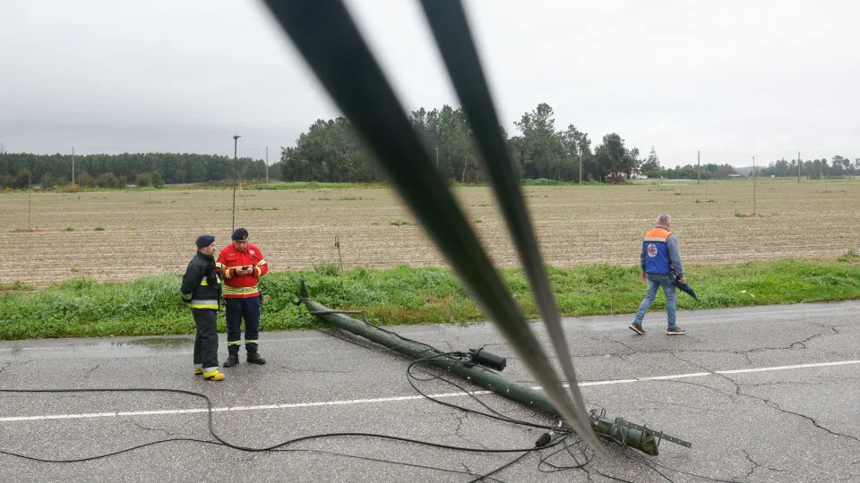 REN já removeu 80% dos cabos e 20% das infraestruturas