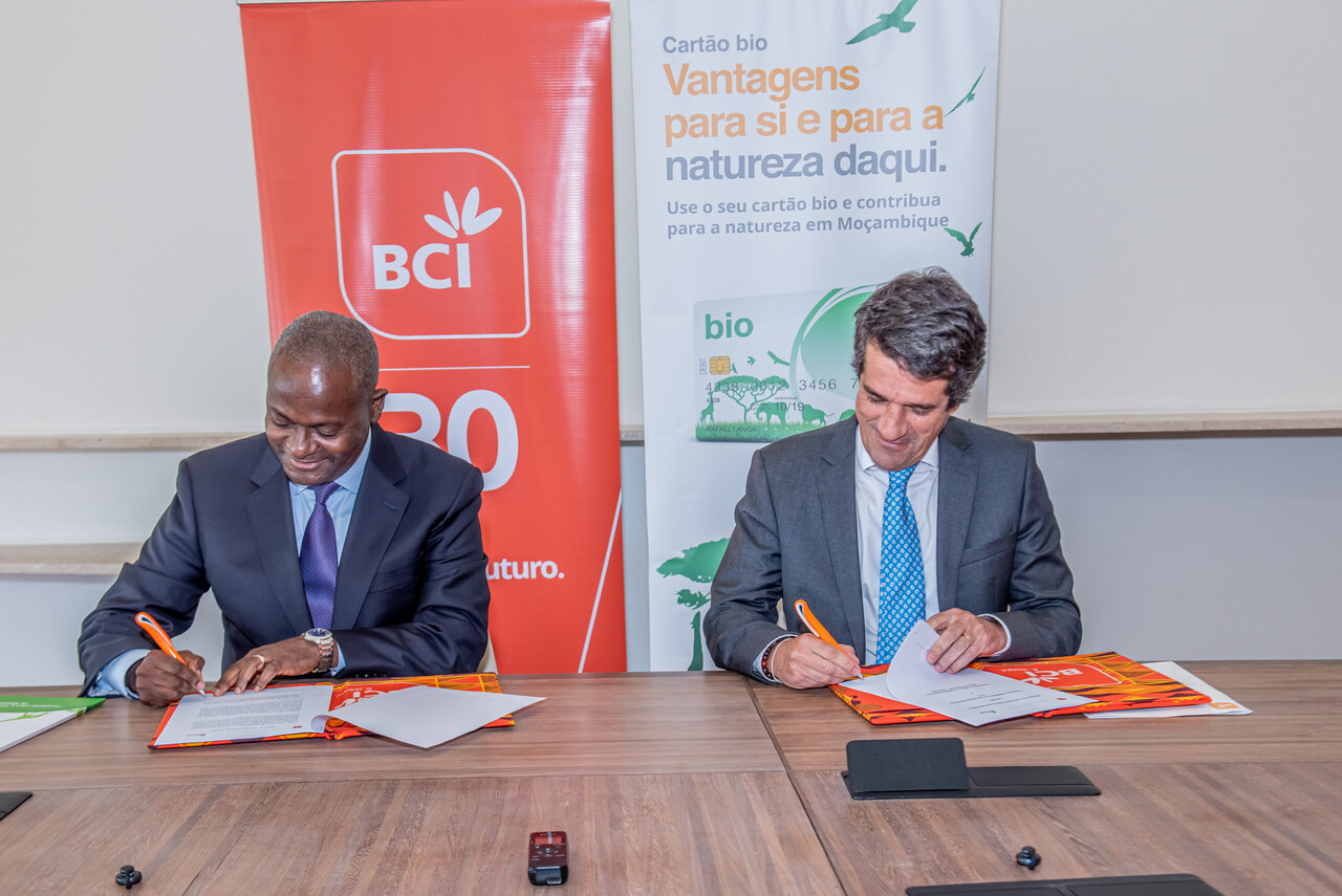 BCI e BIOFUND Renovam Parceria Para Financiar Projectos de