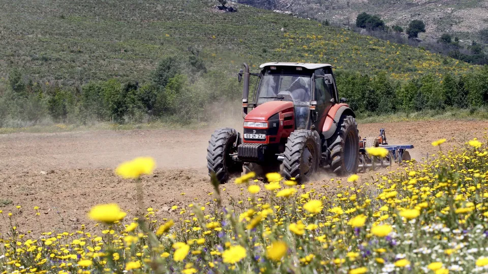 Cooperativas: "Inaceitável que gasóleo agrícola não tenha